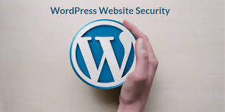 Wordpress website security
