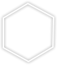 Website Design (UX/UI)